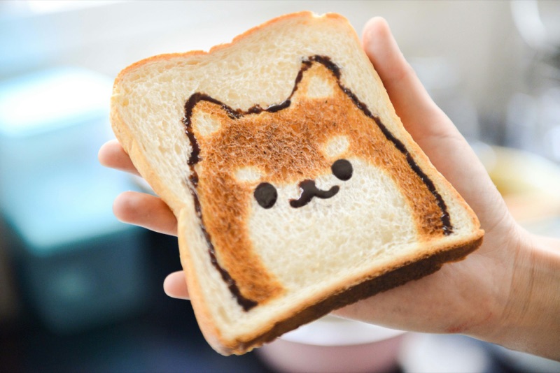 Modern bread rich in gluten - health implications