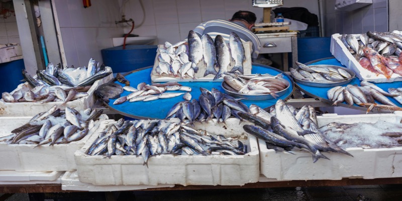 Fresh fish and seafood display showing protein-rich breakfast options