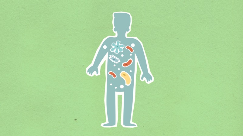Human silhouette showing microorganisms throughout the body representing gut microbiome health